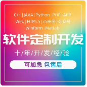软件定制